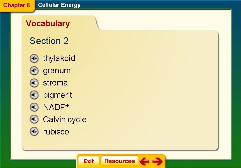 Chapter 8 Cellular Energy Vocabulary Section 2 thylakoid granum stroma pigment NADP+ Calvin cycle