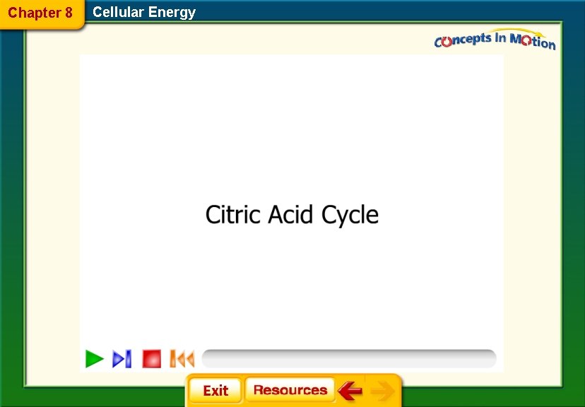 Chapter 8 Cellular Energy 