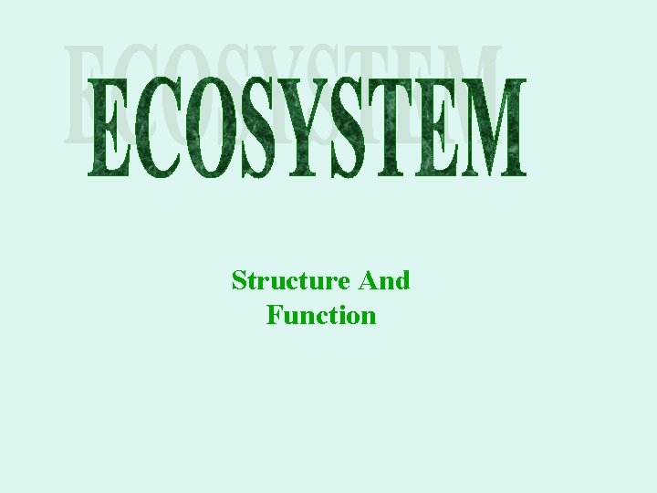 Structure And Function 