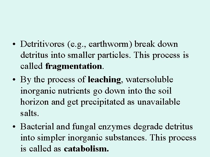  • Detritivores (e. g. , earthworm) break down detritus into smaller particles. This