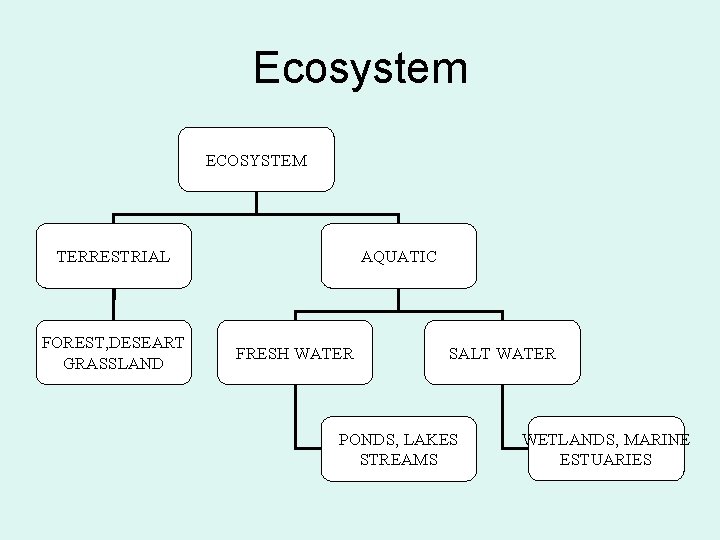 Ecosystem ECOSYSTEM TERRESTRIAL FOREST, DESEART GRASSLAND AQUATIC FRESH WATER SALT WATER PONDS, LAKES STREAMS