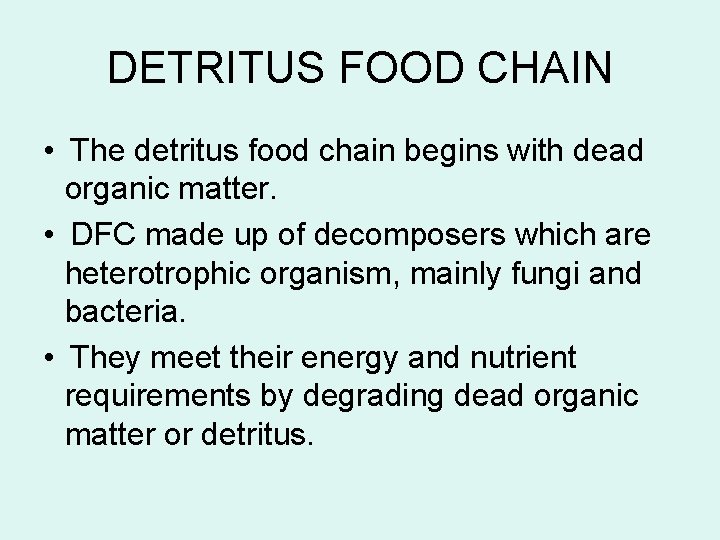 DETRITUS FOOD CHAIN • The detritus food chain begins with dead organic matter. •