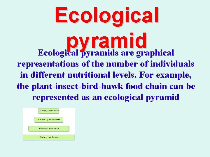 Ecological pyramids are graphical representations of the number of individuals in different nutritional levels.