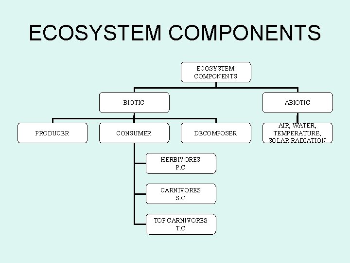 ECOSYSTEM COMPONENTS PRODUCER BIOTIC ABIOTIC CONSUMER AIR, WATER, TEMPERATURE, SOLAR RADIATION DECOMPOSER HERBIVORES P.