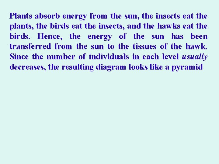  Plants absorb energy from the sun, the insects eat the plants, the birds