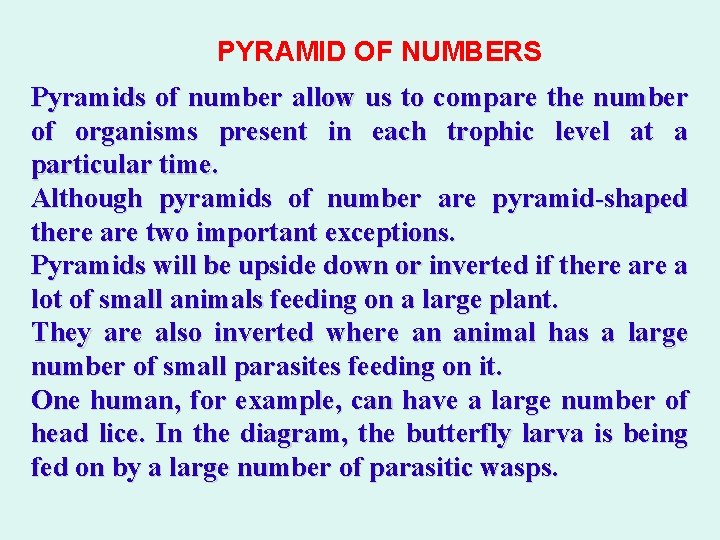 PYRAMID OF NUMBERS Pyramids of number allow us to compare the number of organisms