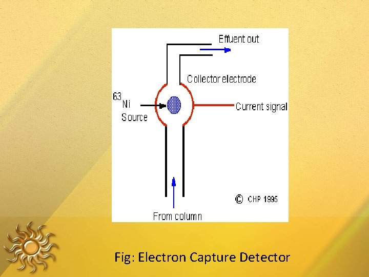 Fig: Electron Capture Detector 
