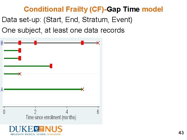 Conditional Frailty (CF)-Gap Time model Data set-up: (Start, End, Stratum, Event) One subject, at
