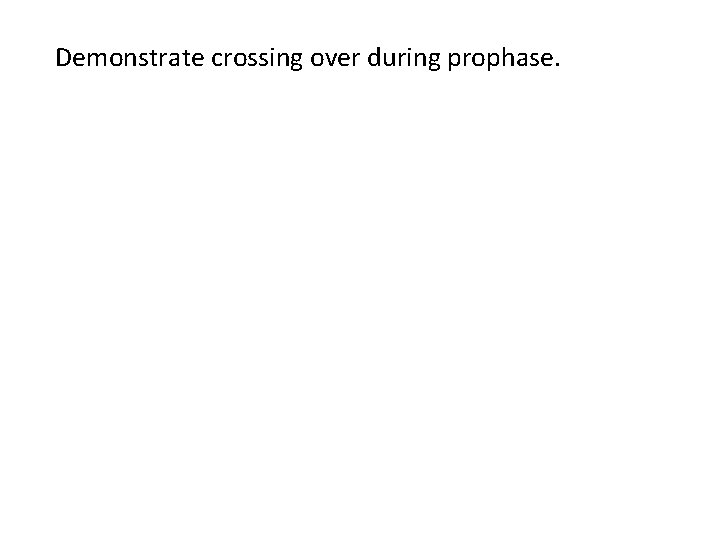 Demonstrate crossing over during prophase. 