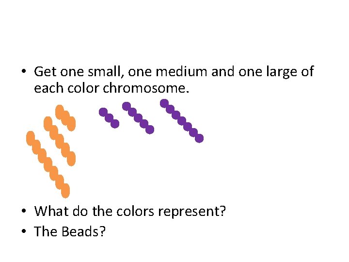  • Get one small, one medium and one large of each color chromosome.