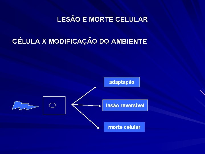 LESÃO E MORTE CELULAR CÉLULA X MODIFICAÇÃO DO AMBIENTE adaptação lesão reversível morte celular