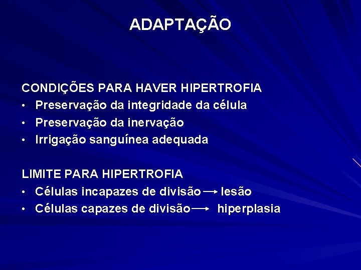 ADAPTAÇÃO CONDIÇÕES PARA HAVER HIPERTROFIA • Preservação da integridade da célula • Preservação da