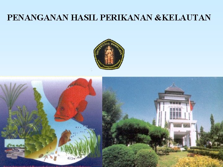  PENANGANAN HASIL PERIKANAN &KELAUTAN 