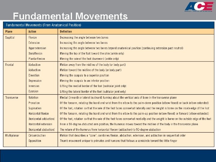 Fundamental Movements Fundamental Movements