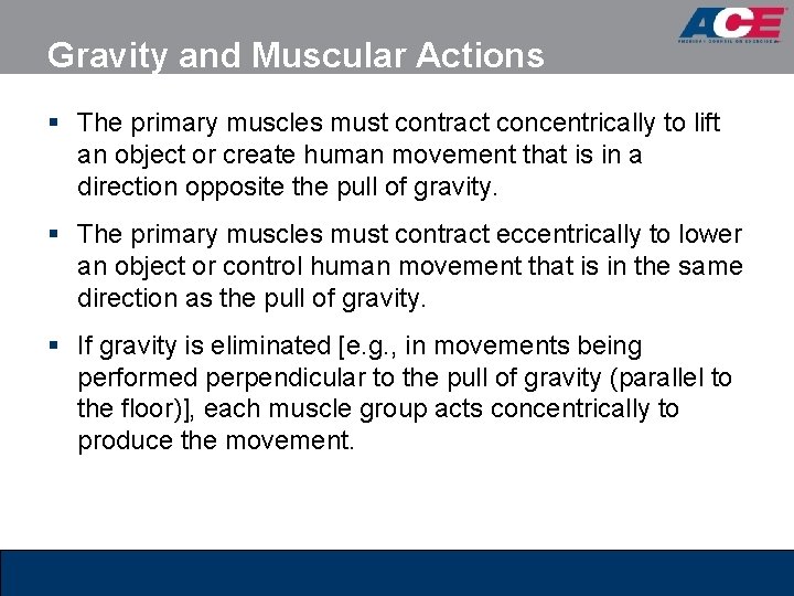 Gravity and Muscular Actions § The primary muscles must contract concentrically to lift an Gravity and Muscular Actions § The primary muscles must contract concentrically to lift an