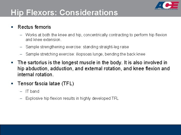 Hip Flexors: Considerations § Rectus femoris – Works at both the knee and hip, Hip Flexors: Considerations § Rectus femoris – Works at both the knee and hip,