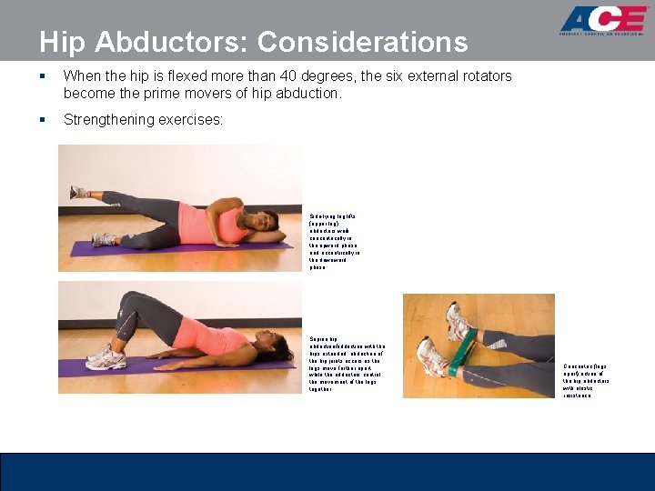 Hip Abductors: Considerations § When the hip is flexed more than 40 degrees, the Hip Abductors: Considerations § When the hip is flexed more than 40 degrees, the