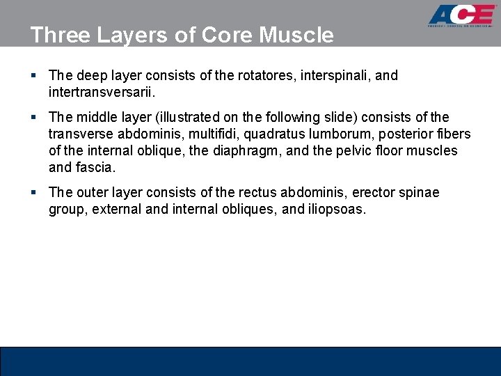 Three Layers of Core Muscle § The deep layer consists of the rotatores, interspinali, Three Layers of Core Muscle § The deep layer consists of the rotatores, interspinali,