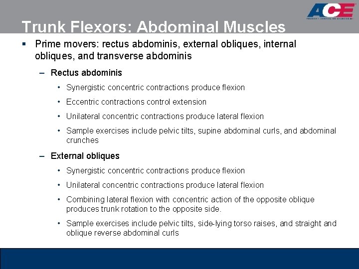 Trunk Flexors: Abdominal Muscles § Prime movers: rectus abdominis, external obliques, internal obliques, and Trunk Flexors: Abdominal Muscles § Prime movers: rectus abdominis, external obliques, internal obliques, and