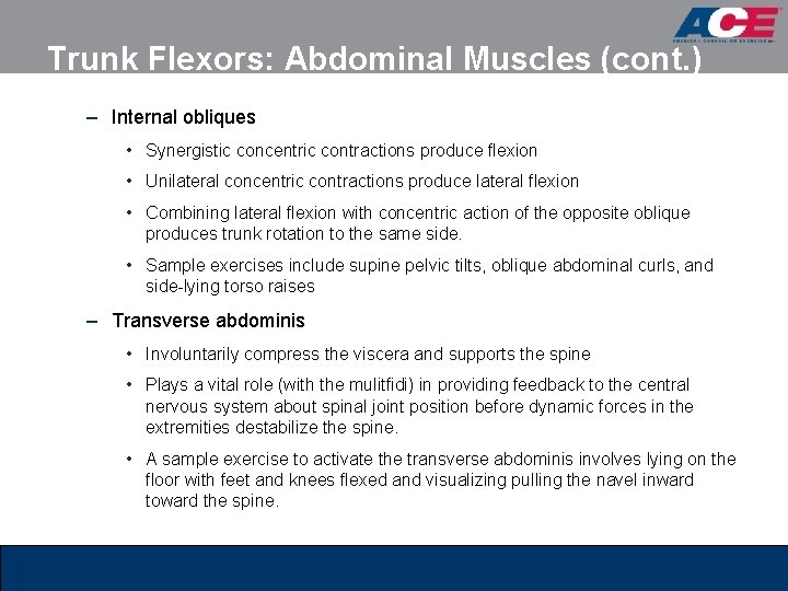 Trunk Flexors: Abdominal Muscles (cont. ) – Internal obliques • Synergistic concentric contractions produce Trunk Flexors: Abdominal Muscles (cont. ) – Internal obliques • Synergistic concentric contractions produce