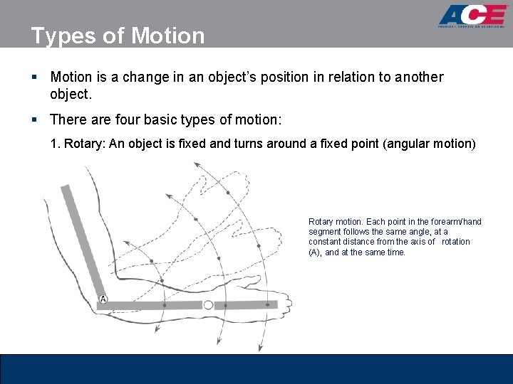 Types of Motion § Motion is a change in an object’s position in relation Types of Motion § Motion is a change in an object’s position in relation