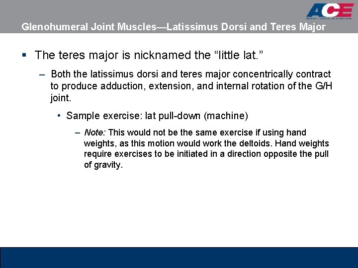 Glenohumeral Joint Muscles—Latissimus Dorsi and Teres Major § The teres major is nicknamed the Glenohumeral Joint Muscles—Latissimus Dorsi and Teres Major § The teres major is nicknamed the