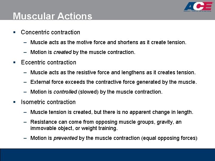 Muscular Actions § Concentric contraction – Muscle acts as the motive force and shortens Muscular Actions § Concentric contraction – Muscle acts as the motive force and shortens