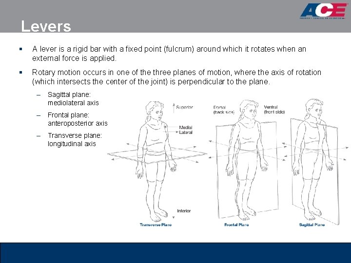 Levers § A lever is a rigid bar with a fixed point (fulcrum) around Levers § A lever is a rigid bar with a fixed point (fulcrum) around