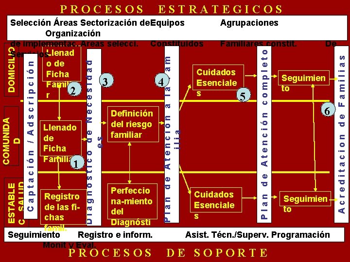 PROCESOS ESTRATEGICOS PROCESOS Cuidados Esenciale s 6 Seguimien to Asist. Técn. /Superv. Programación DE