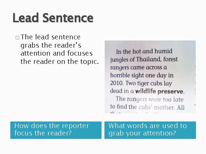 Lead Sentence � The lead sentence grabs the reader’s attention and focuses the reader