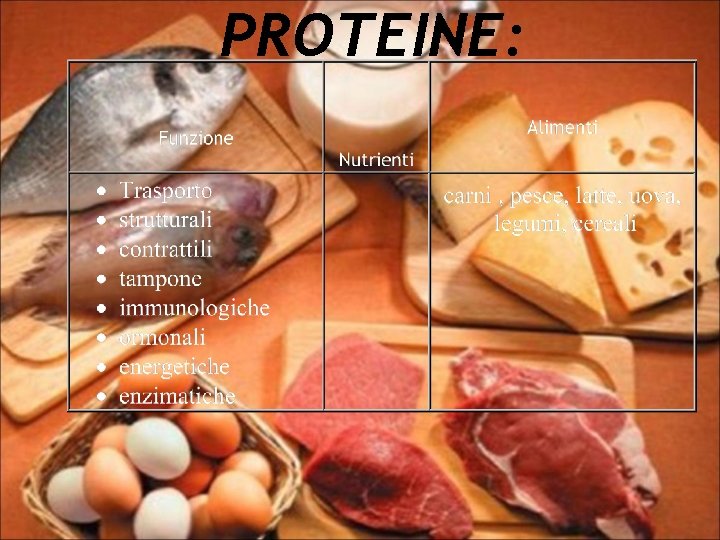 PROTEINE: 