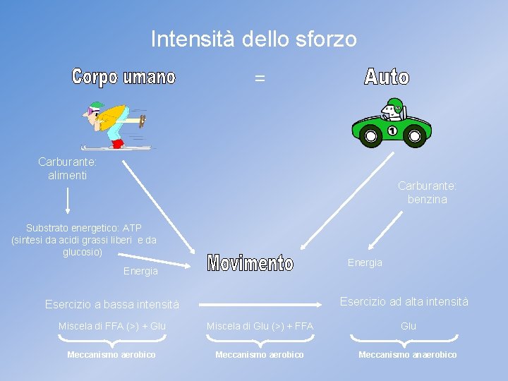 Intensità dello sforzo = Carburante: alimenti Carburante: benzina Substrato energetico: ATP (sintesi da acidi