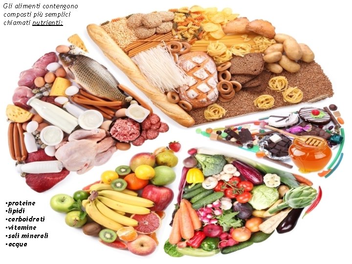 Gli alimenti contengono composti più semplici chiamati nutrienti: • proteine • lipidi • carboidrati