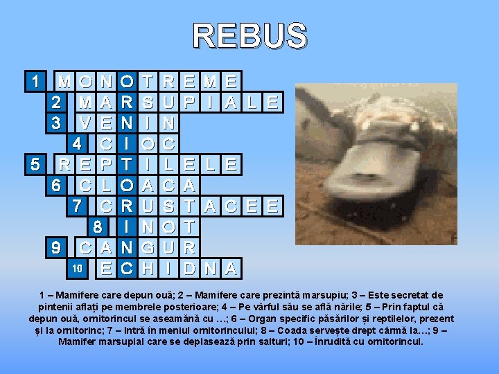 REBUS 1 M 2 3 O M V 4 5 R E 6 C