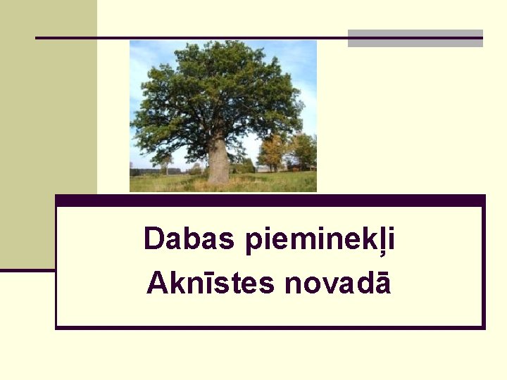 Dabas pieminekļi Aknīstes novadā 
