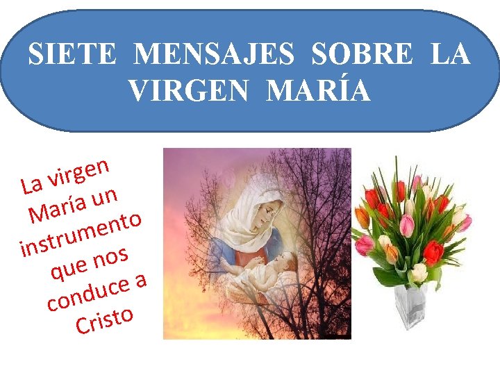 SIETE MENSAJES SOBRE LA VIRGEN MARÍA n e g r i v a L