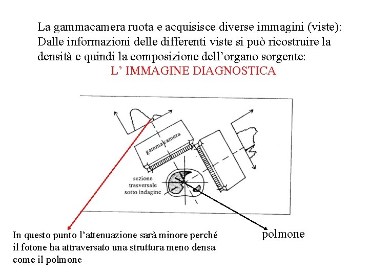 La gammacamera ruota e acquisisce diverse immagini (viste): Dalle informazioni delle differenti viste si