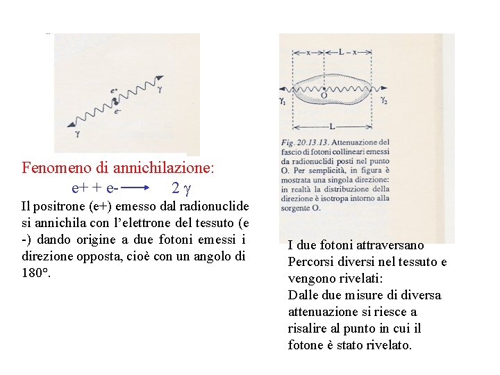 Fenomeno di annichilazione: e+ + e 2 g Il positrone (e+) emesso dal radionuclide