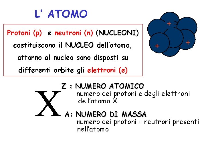 L’ ATOMO + Protoni (p) e neutroni (n) (NUCLEONI) NUCLEONI costituiscono il NUCLEO dell’atomo,