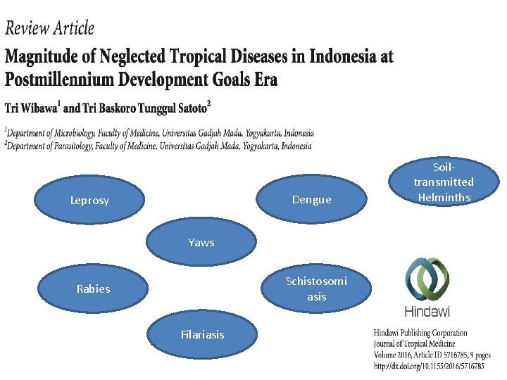 Dengue Leprosy Yaws Schistosomi asis Rabies Filariasis Soiltransmitted Helminths 