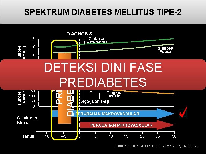 SPEKTRUM DIABETES MELLITUS TIPE-2 DIAGNOSIS 15 Glukosa Puasa 10 5 0 Fungsi sel Relatif