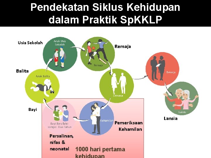 Pendekatan Siklus Kehidupan dalam Praktik Sp. KKLP Usia Sekolah Remaja Balita Bayi Pemeriksaan Kehamilan