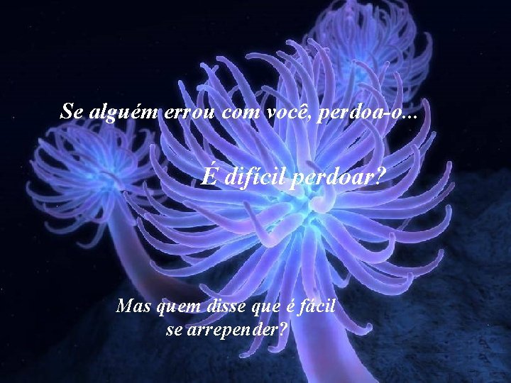Se alguém errou com você, perdoa-o. . . É difícil perdoar? Mas quem disse
