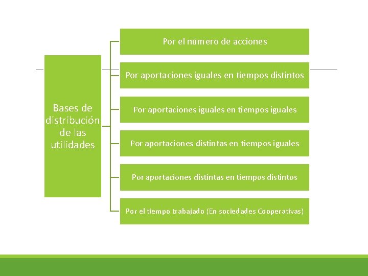 Por el número de acciones Por aportaciones iguales en tiempos distintos Bases de distribución