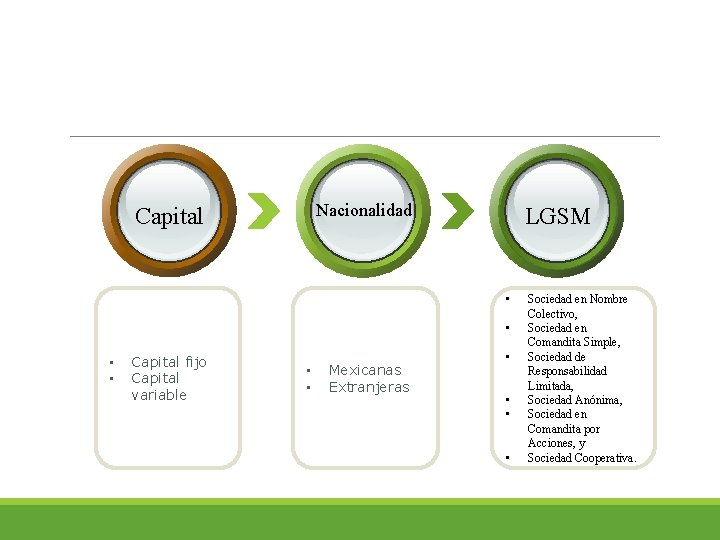 Nacionalidad Capital LGSM • • Capital fijo Capital variable • • Mexicanas Extranjeras •