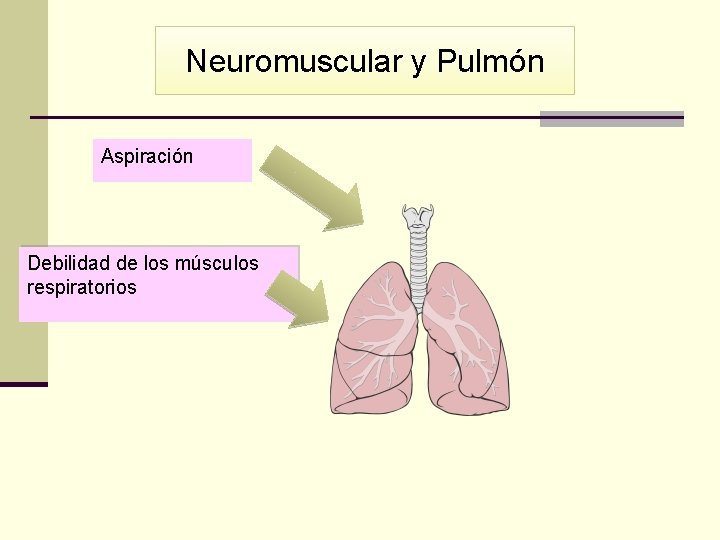 Neuromuscular y Pulmón Aspiración Debilidad de los músculos respiratorios 