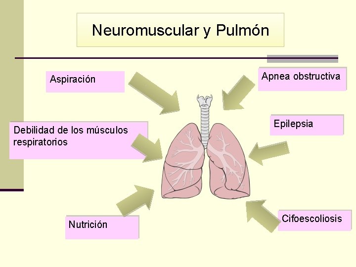 Neuromuscular y Pulmón Aspiración Debilidad de los músculos respiratorios Nutrición Apnea obstructiva Epilepsia Cifoescoliosis