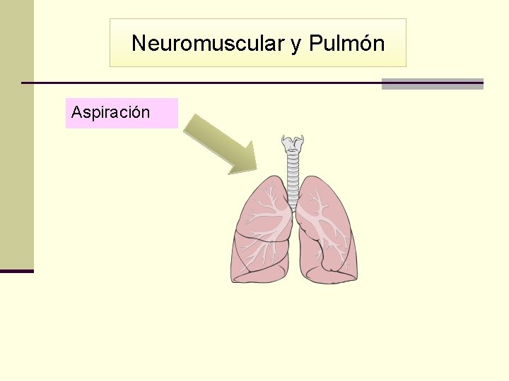 Neuromuscular y Pulmón Aspiración 