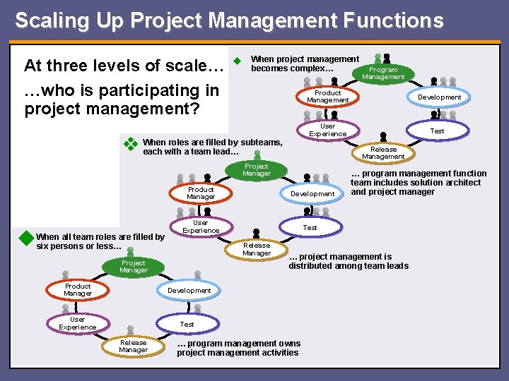 Scaling Up Project Management Functions At three levels of scale… …who is participating in