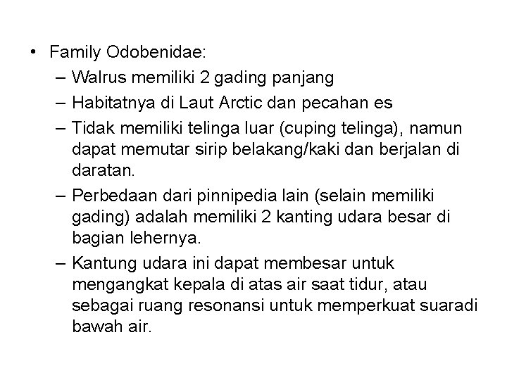  • Family Odobenidae: – Walrus memiliki 2 gading panjang – Habitatnya di Laut